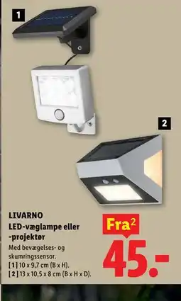 Lidl LIVARNO LED-væglampe eller -projektør tilbud