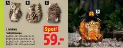 Lidl LIVARNO Solcellelampe tilbud