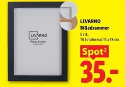 Lidl LIVARNO Billedrammer tilbud