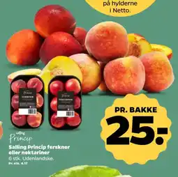 Netto Salling Princip ferskner eller nektariner tilbud