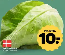 Netto Dansk spidskål tilbud