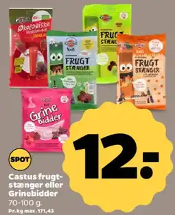 Netto Castus frugtstænger eller Grinebider tilbud