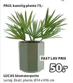 JYSK LUCAS blomsterpotte tilbud