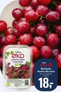 Føtex Økologiske stenfri røde druer tilbud