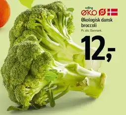Føtex Økologisk dansk broccoli tilbud