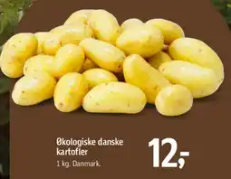 Føtex Økologiske danske kartofler tilbud