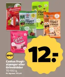 Netto Castus frugt- stænger eller Grinebidder tilbud