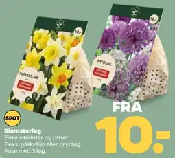 Netto Blomsterløg tilbud