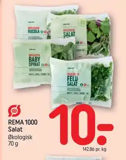 REMA 1000 REMA 1000 Salat tilbud