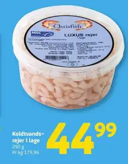 Løvbjerg Koldtvands- rejer i lage tilbud