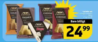 Løvbjerg Castello ost tilbud