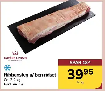 Ribbensteg u/ ben ridset