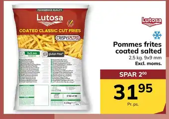 Pommes frites coated salted