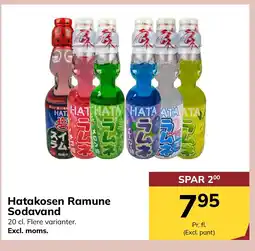 Dagrofa S-Engros Hatakosen Ramune Sodavand tilbud