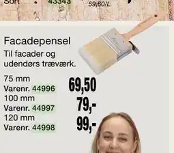 Harald Nyborg Facadepensel tilbud