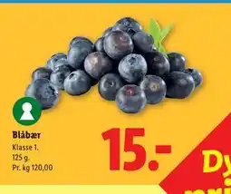 Lidl Blåbær tilbud