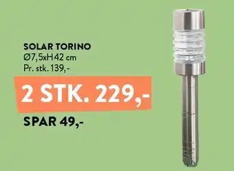Solar Torino