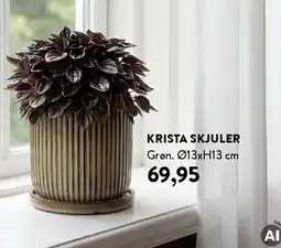 Plantorama KRISTA SKJULER tilbud