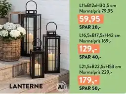 Plantorama LANTERNE tilbud