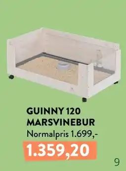Plantorama GUINNY 120 MARSVINEBUR tilbud