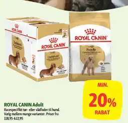 Maxi Zoo Royal Canin Adult tilbud