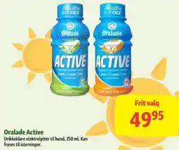 Maxi Zoo Oralade Active tilbud