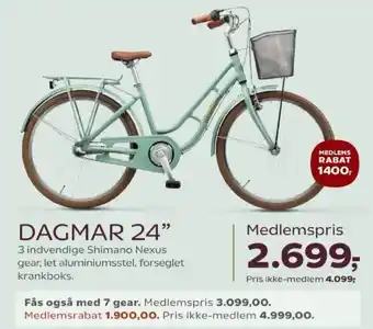 Dagmar 24"