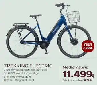 Mustang Trekking Electric