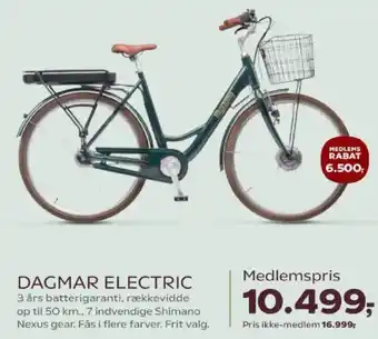 Dagmar Electric