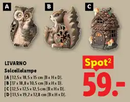 Lidl Solcellelampe tilbud