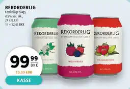 Scandinavian Park REKORDERLIG tilbud