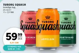 Scandinavian Park TUBORG SQUASH tilbud