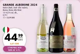 Scandinavian Park Grande Alberone 2024 tilbud