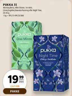 Scandinavian Park Pukka Te tilbud