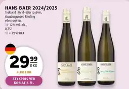 Scandinavian Park Hans Baer 2024/2025 tilbud