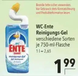 Citti Wc Ente Reinigungs-Gel tilbud