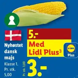 Lidl Lidl majs tilbud