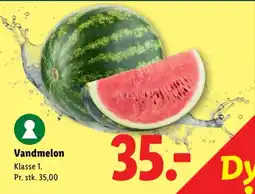 Lidl Vandmelon tilbud