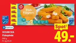 Lidl Ocean Sea Fiskepinde tilbud