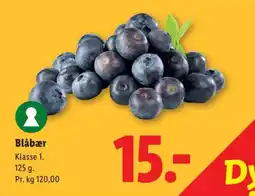 Lidl Blåbær tilbud