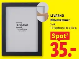 Lidl Livarno billedrammer tilbud