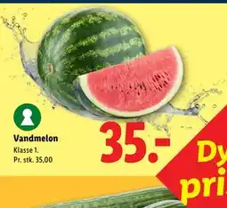 Lidl Vandmelon tilbud