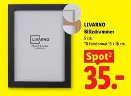 Lidl LIVARNO Billedrammer tilbud