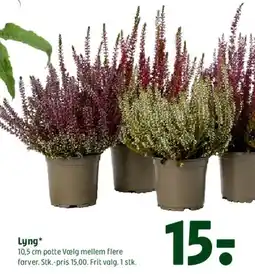 Coop 365 Lyng tilbud