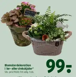 Coop 365 Blomsterdekoration i ler- eller zinkskjuler tilbud