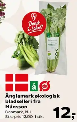 Kvickly Änglamark økologisk bladselleri fra Månsson tilbud