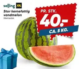 Bilka Stor kernefattig vandmelon tilbud