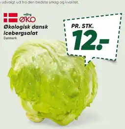 Bilka Økologisk dansk icebergsalat tilbud