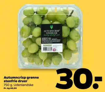 AutumnCrisp grønne stenfrie druer