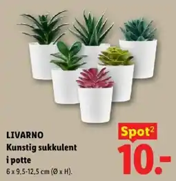 Lidl Livarno kunstig sukkulent i potte tilbud